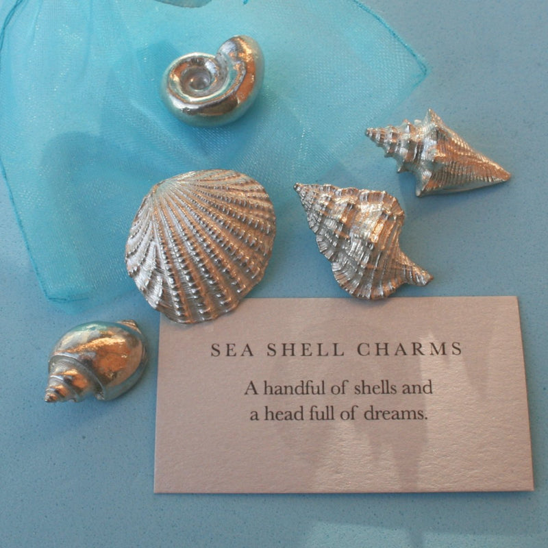 Shell Charms