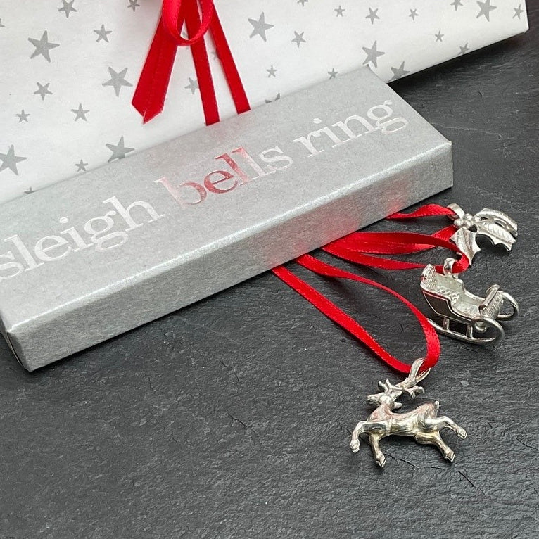 Sleigh Bells Ring Boxed Set